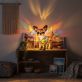 Élet egy Chihuahuával – Lámpa